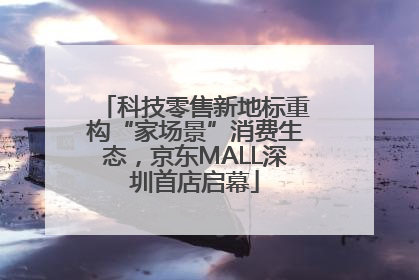 科技零售新地标重构“家场景”消费生态，京东MALL深圳首店启幕