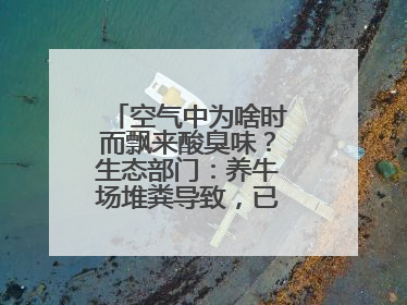 空气中为啥时而飘来酸臭味？生态部门：养牛场堆粪导致，已要求除臭消杀