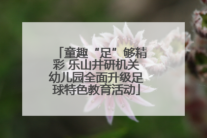 童趣“足”够精彩 乐山井研机关幼儿园全面升级足球特色教育活动