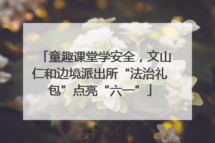 童趣课堂学安全，文山仁和边境派出所“法治礼包”点亮“六一”