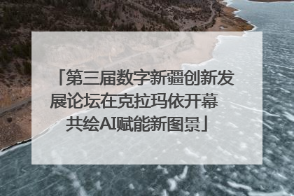 第三届数字新疆创新发展论坛在克拉玛依开幕 共绘AI赋能新图景