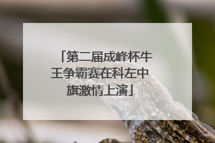 第二届成峰杯牛王争霸赛在科左中旗激情上演