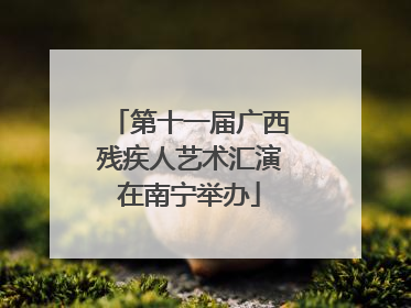 第十一届广西残疾人艺术汇演在南宁举办