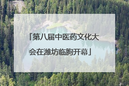 第八届中医药文化大会在潍坊临朐开幕