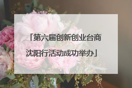 第六届创新创业台商沈阳行活动成功举办
