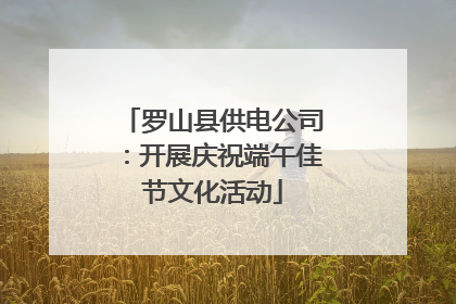罗山县供电公司：开展庆祝端午佳节文化活动