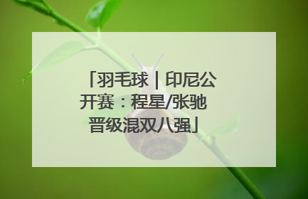 羽毛球｜印尼公开赛：程星/张驰晋级混双八强