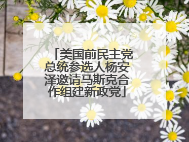 美国前民主党总统参选人杨安泽邀请马斯克合作组建新政党