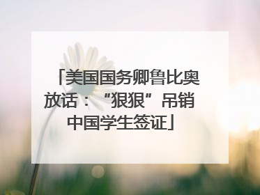 美国国务卿鲁比奥放话：“狠狠”吊销中国学生签证