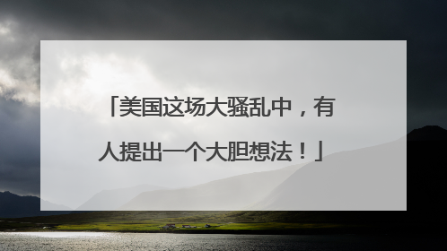 美国这场大骚乱中，有人提出一个大胆想法！