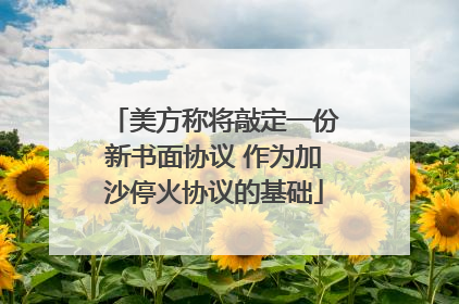 美方称将敲定一份新书面协议 作为加沙停火协议的基础
