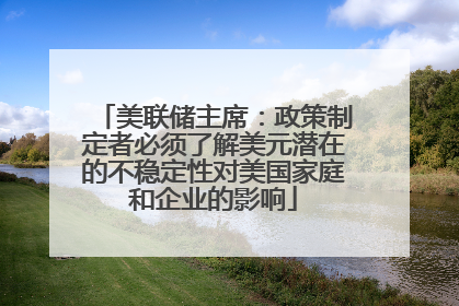 美联储主席：政策制定者必须了解美元潜在的不稳定性对美国家庭和企业的影响