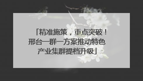 精准施策，重点突破！邢台一群一方案推动特色产业集群提档升级