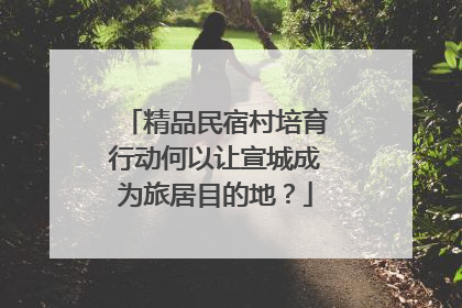精品民宿村培育行动何以让宣城成为旅居目的地？