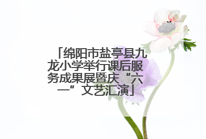 绵阳市盐亭县九龙小学举行课后服务成果展暨庆“六一”文艺汇演