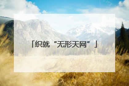 织就“无形天网”