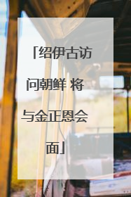 绍伊古访问朝鲜 将与金正恩会面