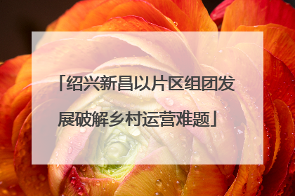 绍兴新昌以片区组团发展破解乡村运营难题