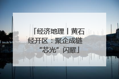 经济地理丨黄石经开区：聚企成链“芯光”闪耀