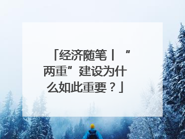 经济随笔丨“两重”建设为什么如此重要？