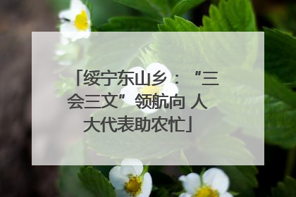 绥宁东山乡：“三会三文”领航向 人大代表助农忙