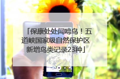 保康处处闻啼鸟！五道峡国家级自然保护区新增鸟类记录23种