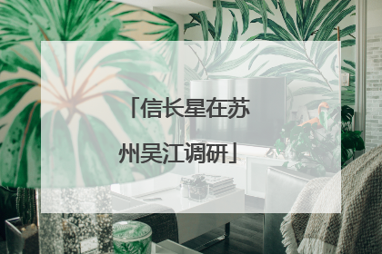信长星在苏州吴江调研