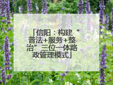 信阳：构建“普法+服务+整治”三位一体路政管理模式