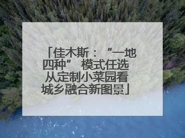 佳木斯：“一地四种” 模式任选 从定制小菜园看城乡融合新图景