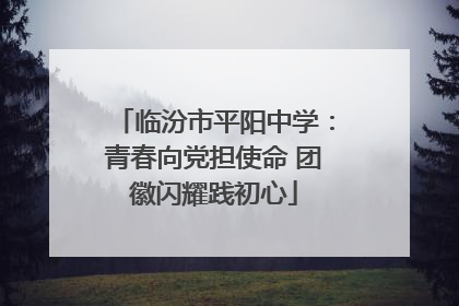 临汾市平阳中学：青春向党担使命 团徽闪耀践初心
