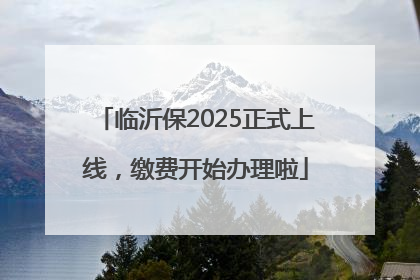 临沂保2025正式上线，缴费开始办理啦
