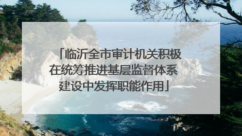 临沂全市审计机关积极在统筹推进基层监督体系建设中发挥职能作用