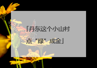 丹东这个小山村点“绿”成金