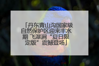 丹东青山沟国家级自然保护区迎来丰水期 飞瀑涧“夏日限定版”震撼登场