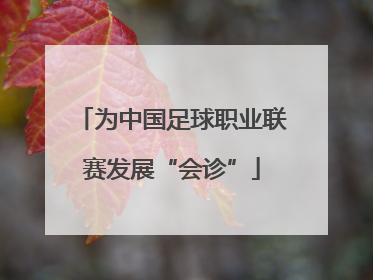 为中国足球职业联赛发展“会诊”