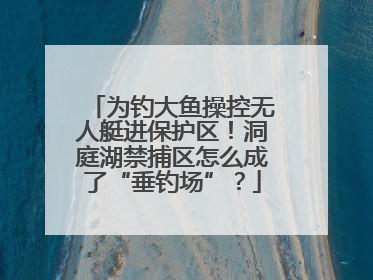 为钓大鱼操控无人艇进保护区！洞庭湖禁捕区怎么成了“垂钓场”？