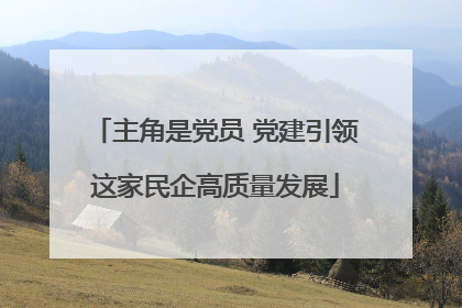 主角是党员 党建引领这家民企高质量发展