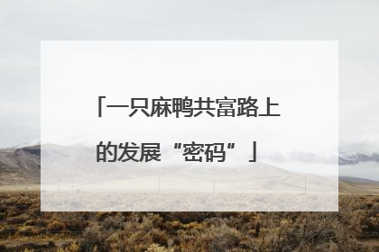 一只麻鸭共富路上的发展“密码”
