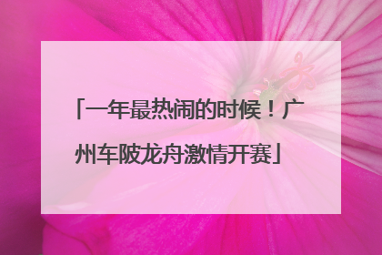 一年最热闹的时候！广州车陂龙舟激情开赛