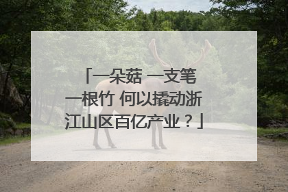 一朵菇 一支笔 一根竹 何以撬动浙江山区百亿产业？
