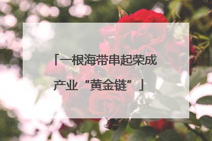 一根海带串起荣成产业“黄金链”