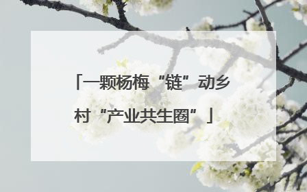 一颗杨梅“链”动乡村“产业共生圈”