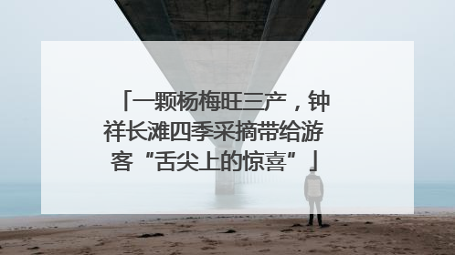 一颗杨梅旺三产，钟祥长滩四季采摘带给游客“舌尖上的惊喜”