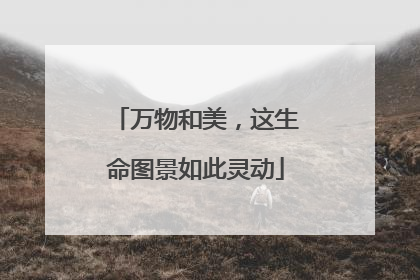 万物和美，这生命图景如此灵动