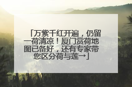 万紫千红开遍，仍留一荷清凉！厦门赏荷地图已备好，还有专家带您区分荷与莲→