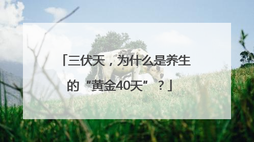 三伏天，为什么是养生的“黄金40天”？