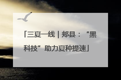 三夏一线｜郏县：“黑科技”助力夏种提速