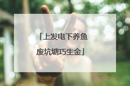上发电下养鱼 废坑塘巧生金