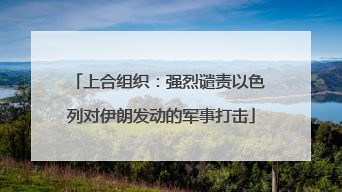 上合组织：强烈谴责以色列对伊朗发动的军事打击