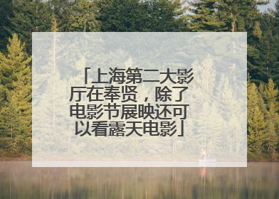 上海第二大影厅在奉贤，除了电影节展映还可以看露天电影